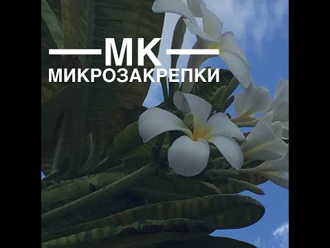 Видео: Вышивка крестиком/МИКРОЗАКРЕПКИ Мастер класс