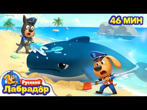 Видео: 🐳Ужасающий морской монстр｜🐙Популярный сборник про животных｜🔍Развивающие мультики｜Шериф Лабрадор