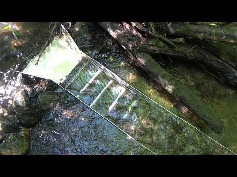 Видео: Мою золото минишлюзом!!!