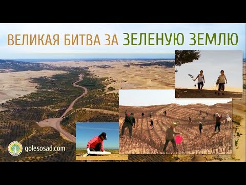 Видео: ВЕЛИКАЯ БИТВА ЗА ЗЕЛЕНУЮ ЗЕМЛЮ!