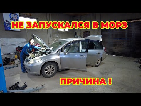 Видео: Не заводился на морозе Nissan tiida причина