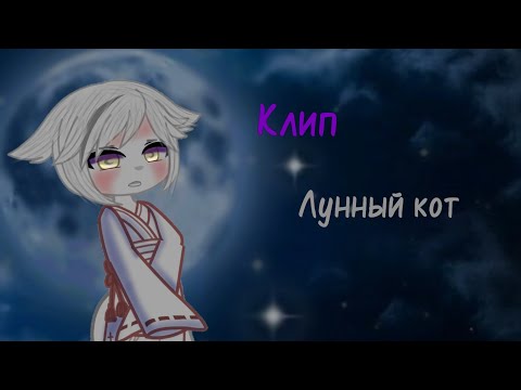 Видео: Клип/🌙Лунный кот✨