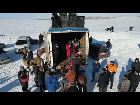 Видео: 28 12 2024 кокпар