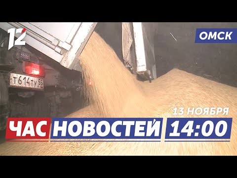 Видео: Рекордный урожай / Документальный фильм «Никита» / Зимняя сказка. Новости Омска