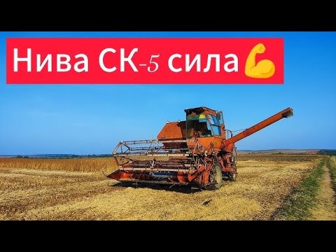 Видео: Молотим сою далі❌насипає 3.4т+👍нива ск-5 ковтає гектари не гірше других комбайнів💪