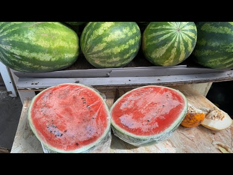 Видео: ГЕЛЕНДЖИК 2024. ЦЕНТРАЛЬНЫЙ РЫНОК. ОБЗОР И ЦЕНЫ. ПО ЧЕМ АРБУЗЫ?