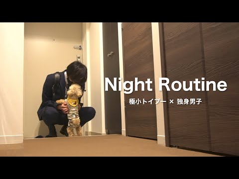 Видео: Собака и холостяк/ Вечер пятницы/ После работы/Ночной распорядок.