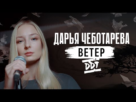 Видео: Дарья Чеботарева - Ветер (ДДТ) [Кавер 2023]