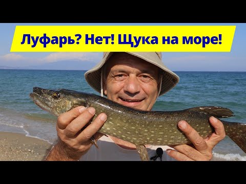 Видео: Шок-улов на море! Луфарь не взял, зато щука попалась!