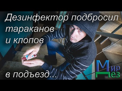 Видео: Дезинфектор Подбросил Тараканов и Клопов в Подъезд. Возможно ли такое? Правда ли это? Мир Дез