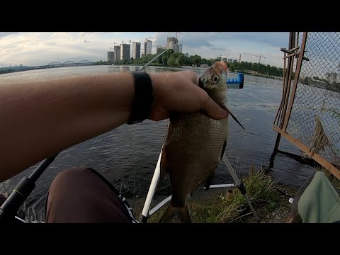 Видео: Ловля леща на Днепре в Киеве / Фидерная Ловля белой рыбы в августе