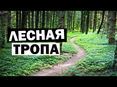 Видео: Истра | На велосипеде по лесной тропе | Релакс после тяжелой недели