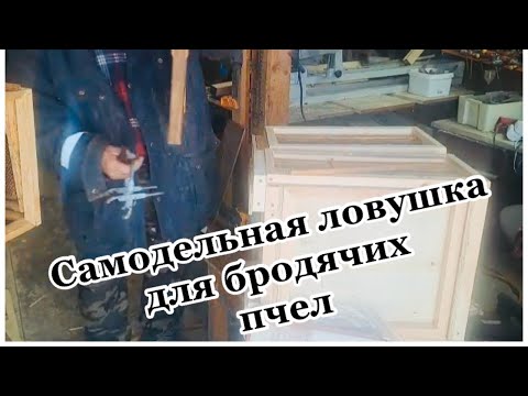 Видео: Секрет пчеловодов: как поймать рой пчел в самодельную ловушку