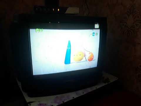 Видео: 8 января 2016 г. 1