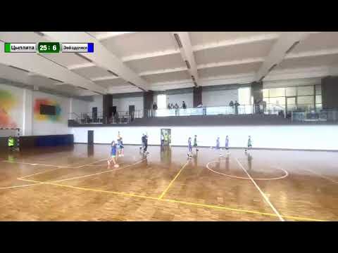 Видео: 20251030 Цыплята - Звёздочки