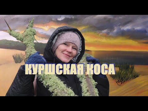 Видео: На Куршской косе ураган рождается на глазах.Контроль эмоций на море в крайние зимние дни.Калининград