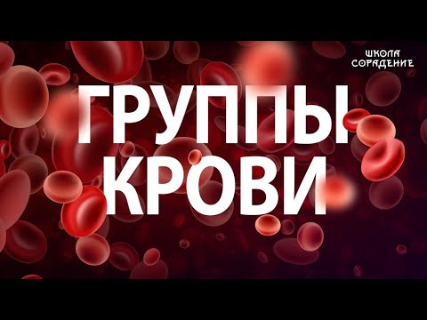 Видео: О группах крови и резус-факторе #Гарат #Сорадение