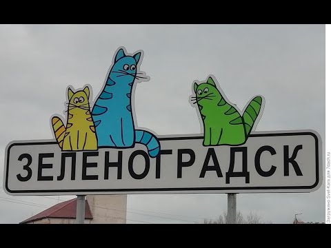 Видео: Зеленоградск, солнце, море, квадрик