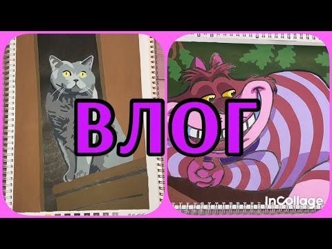 Видео: ВЛОГ/ Готовлю манты/ Новая раскраска 