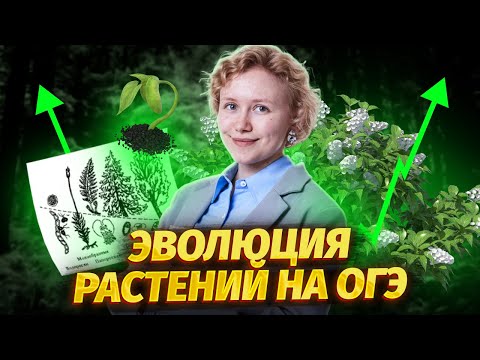 Видео: Эволюция растений для ОГЭ по биологии | Умскул