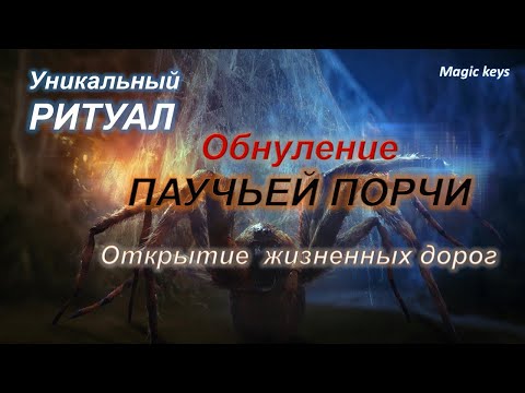 Видео: РИТУАЛ🔥 Обнуление ПАУЧЬЕЙ ПОРЧИ⚡⚡Открытие дорог различных сфер жизни