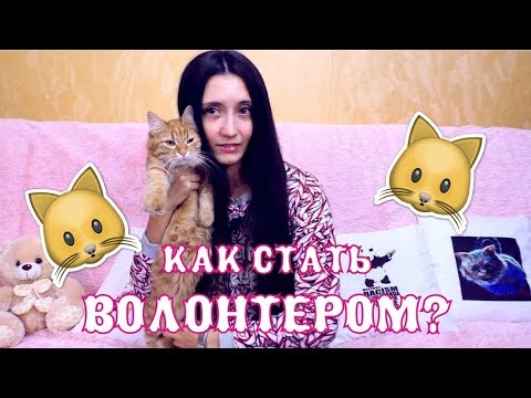 Видео: Как стать волонтером и помогать животным? The Alice Twins #34