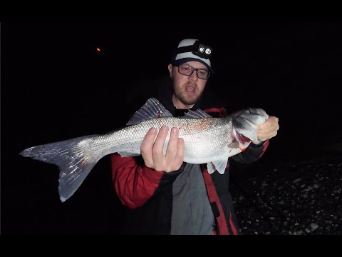 Видео: Становимся большими – для большого БАСА!