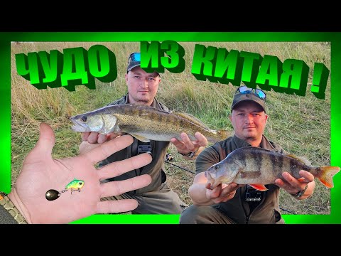 Видео: ТЕЙЛ СПИННЕР ИЗ КИТАЯ💪😁ЭТО НЕЧТО☝️😉 Ловля судака и окуня на китайские приманки.Рыбалка в Германии