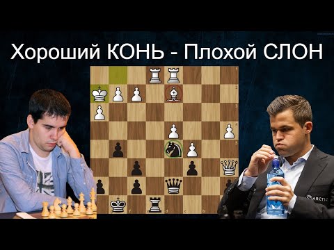 Видео: Непомнящий-Карлсен: Хороший КОНЬ-тупой СЛОН! Шахматы