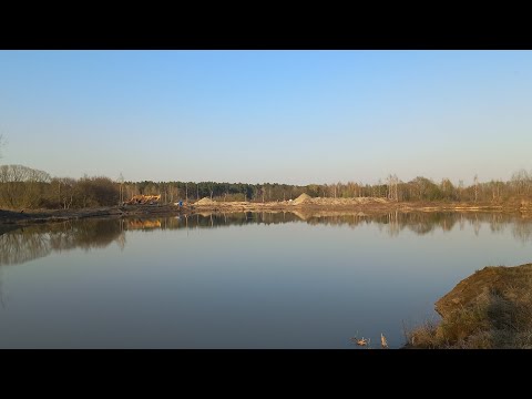 Видео: Роют карьеры рядом с платформой Хотылёво в Брянской области 19.04.2024