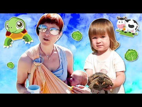 Видео: Бьянка кормит черепаху. Советы и Новости - Влог мамы Маши Капуки