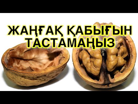 Видео: ЖАҢҒАҚ ҚАБЫҒЫН ТАСТАМАЙ ҚОЛДАНСАҢЫЗ АҒЗАҢЫЗДАН ӨЗГЕРІС БАЙҚАЙСЫЗ. Жаңғақтың пайдасы