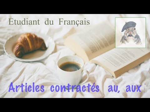 Видео: Урок французского языка "Au, aux articles contractés"