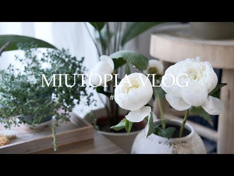 Видео: Наслаждение тишиной летнего дня: коты, мисо-салат, пионы и лесной покой | Miutopia Vlog 15