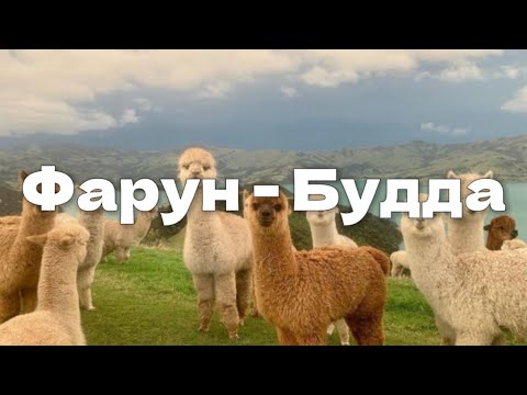 Видео: Что такое Частота Фарун-Будда и Как Она Изменит Вашу Жизнь