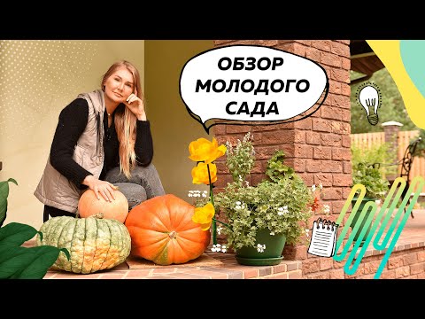 Видео: Обзор молодого сада | Ландшафтный дизайн 20 соток | Плодовый сад | Цветники непрерывного цветения