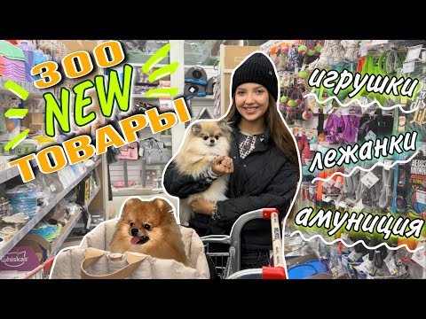 Видео: Зоопокупки 🐶 Игрушки, лежанки, амуниция #моисобаки