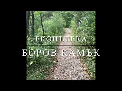 Видео: Екопътека Боров камък 