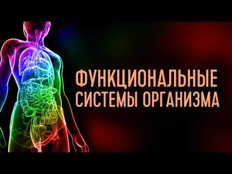 Видео: Функциональные системы организма. Лекция 2. Системы дыхания и питания