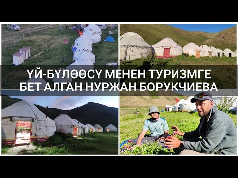 Видео: Жайлоодо үйбүлөсү менен турист тоскон эне