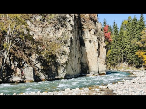 Видео: Левый Талгар (full video)