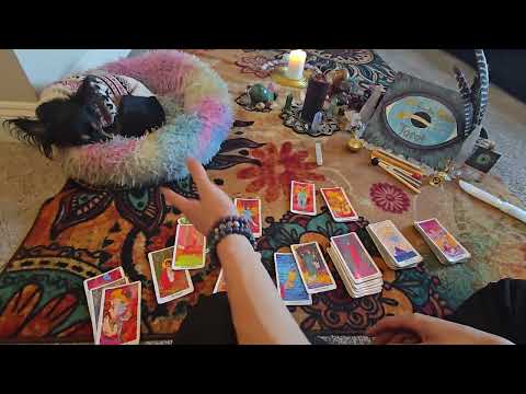 Видео: Игра в колесо.