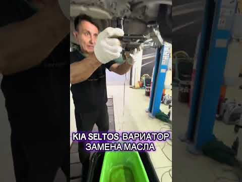 Видео: 7 июня 2025 г.