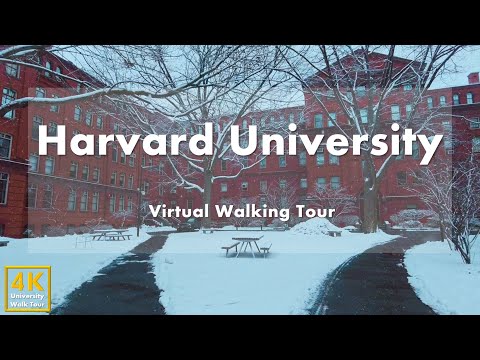 Видео: Гарвардский университет (Harvard University) - виртуальная пешеходная экскурсия [4k 60fps]