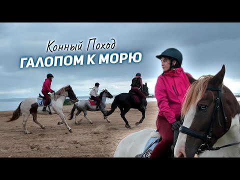 Видео: Конный поход к морю / 5 часов верхом / ВЛОГ