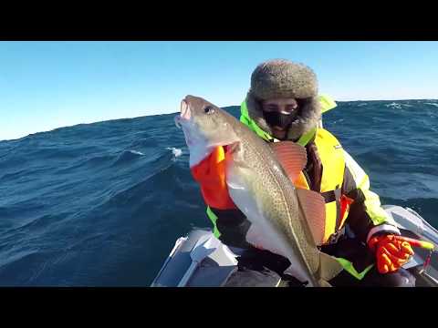 Видео: ЭКСТРЕМАЛЬНАЯ, НО УДАЧНАЯ РЫБАЛКА / БАРЕНЦЕВО МОРЕ /  EXTREME, BUT A GOOD FISHING