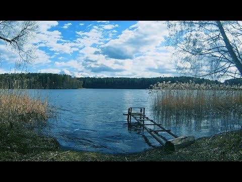 Видео: Водохранилище Вяча. Обзорная прогулка