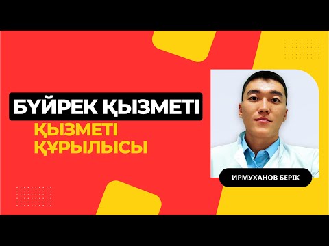 Видео: Бүйрек қызметі құрылысы 1 - бөлім