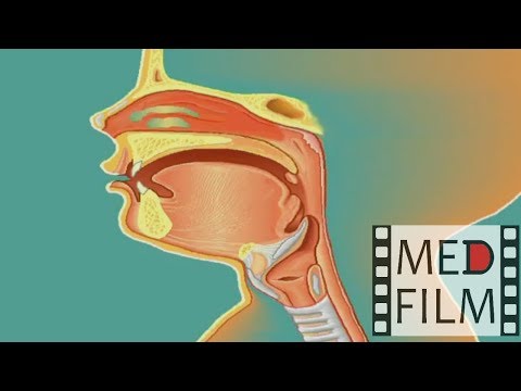 Видео: Система дыхания детей © The system of breathing in young children