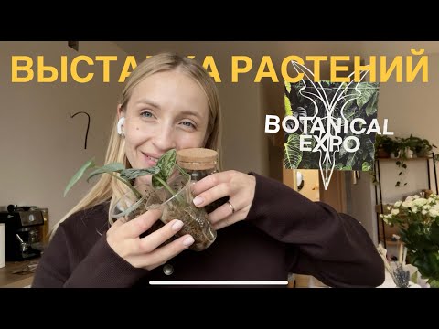 Видео: ПОСЛЕДНЯЯ выставка растений в 2024 в Новосибирске | новые растения хойи, дисхидии, фиалка